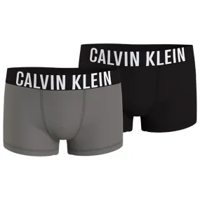 Balanced Fit Calvin Klein Boxershorts 2-pack Pebblestone/Pvh Black