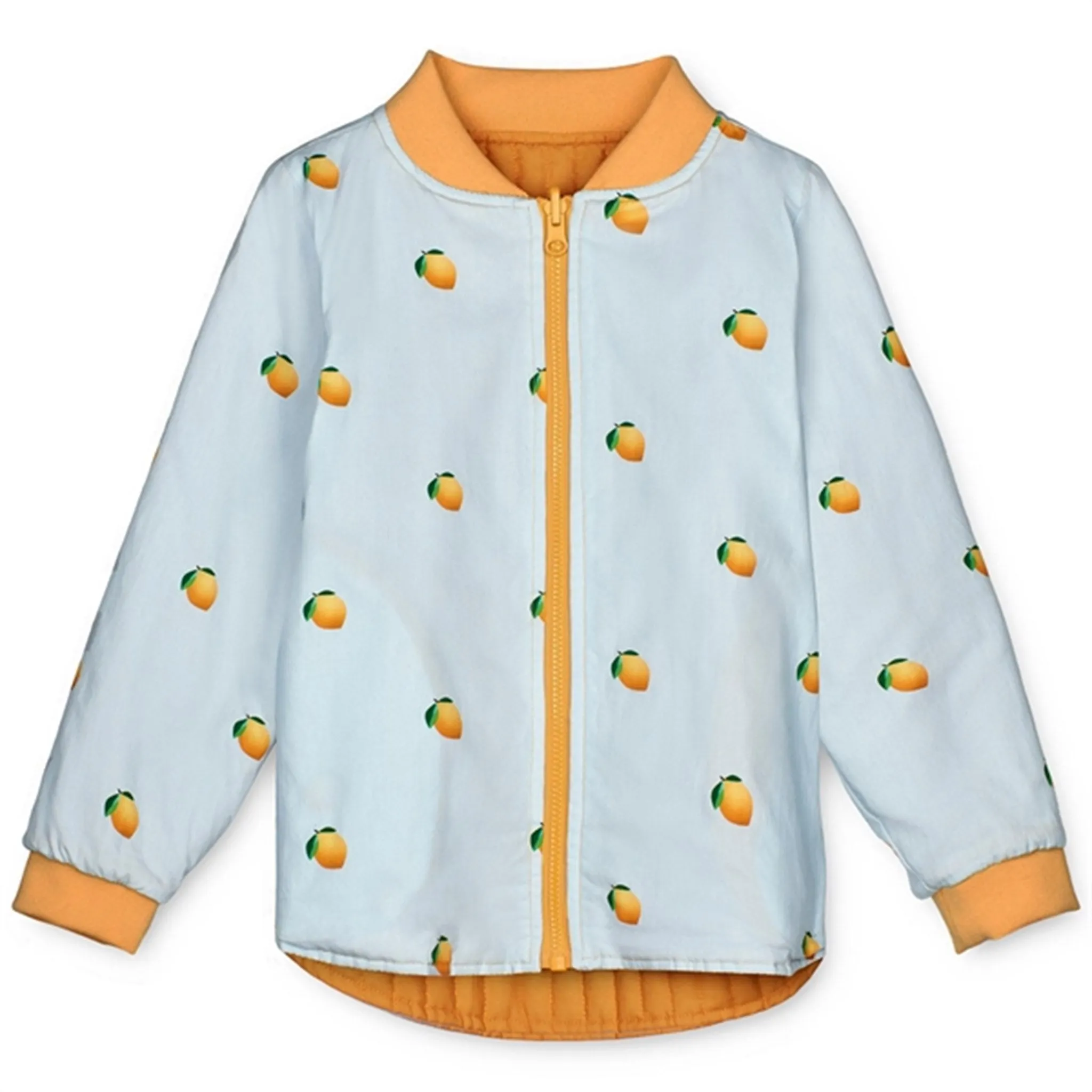 Fliink Ballad Blue AOP Kota Jacket suitable for day wear