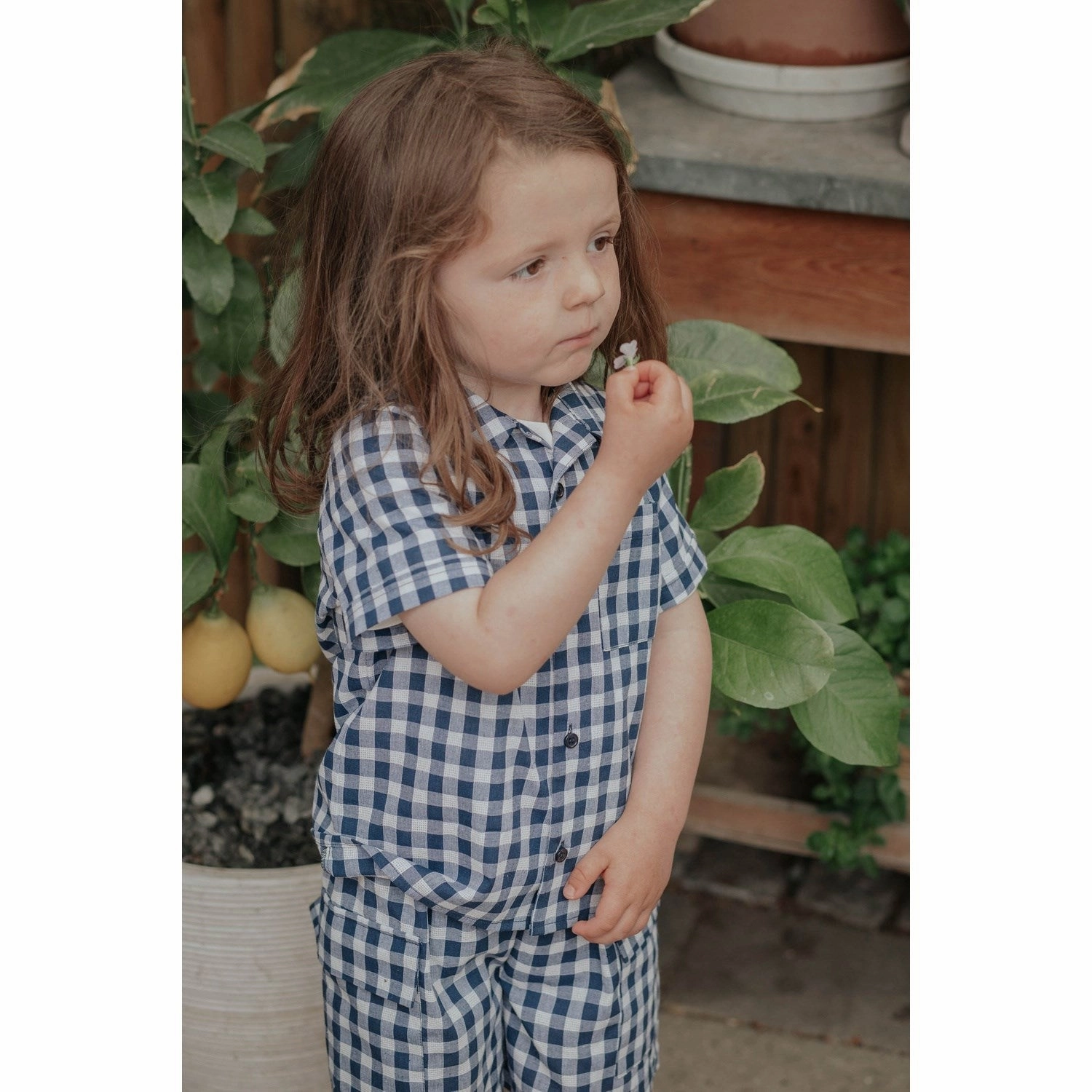 Fliink Insignia Sandshell Check Zorro Cargo Shorts Reinforced Gusset Artisanal