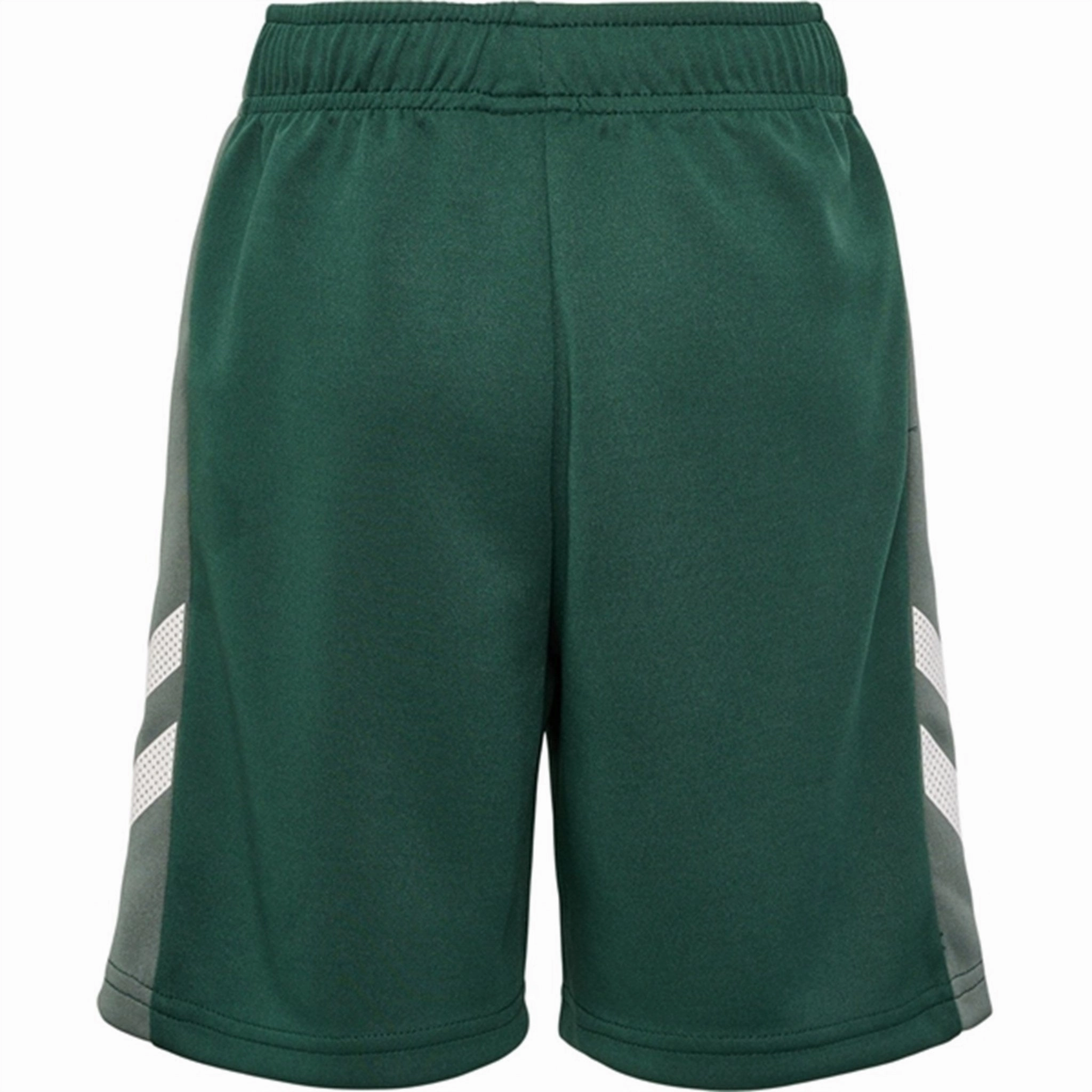 Swimwear Hummel Pineneedle Ruphus Shorts