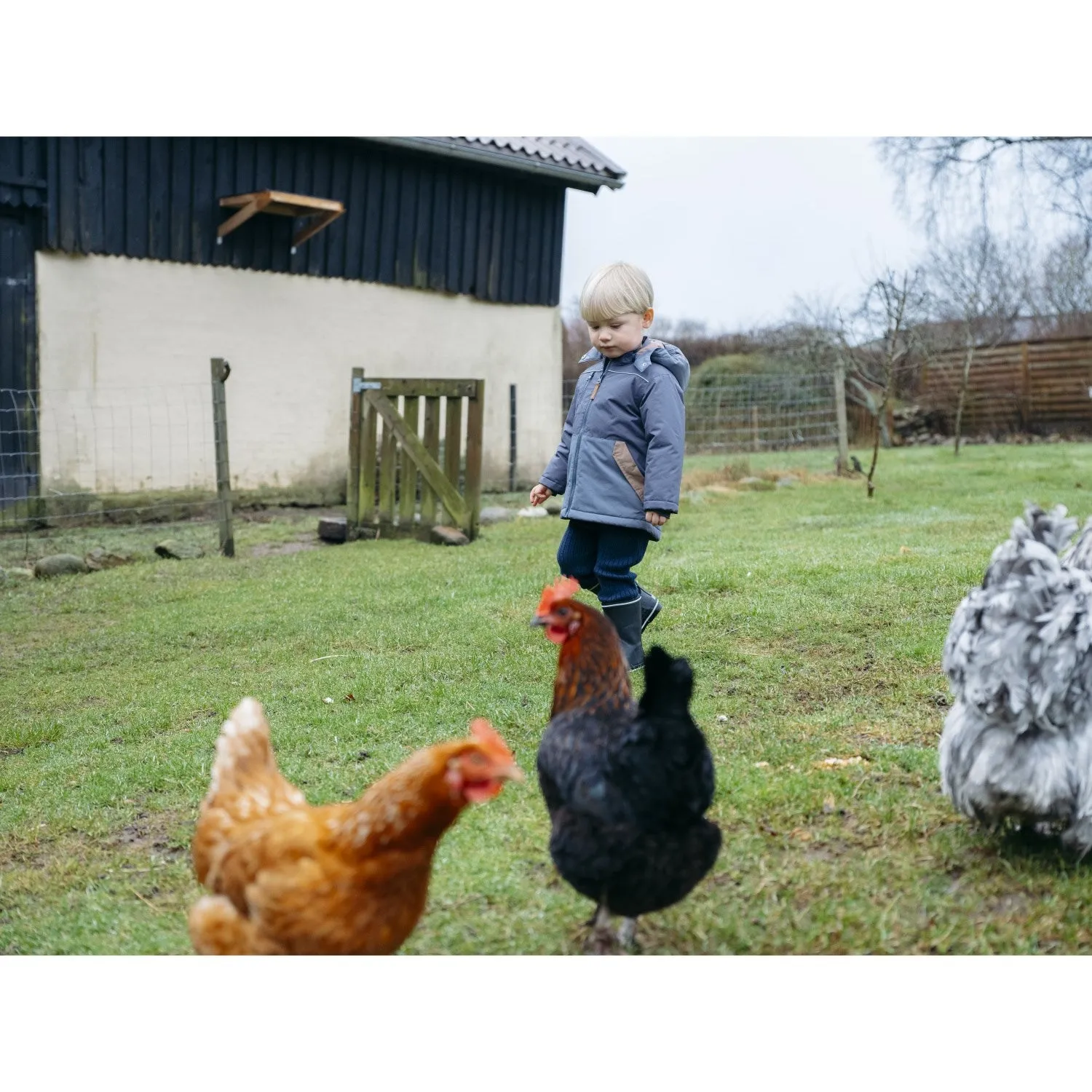 Altruism Flexible Neckline Hust & Claire Ombre Blue Oskar Jacket