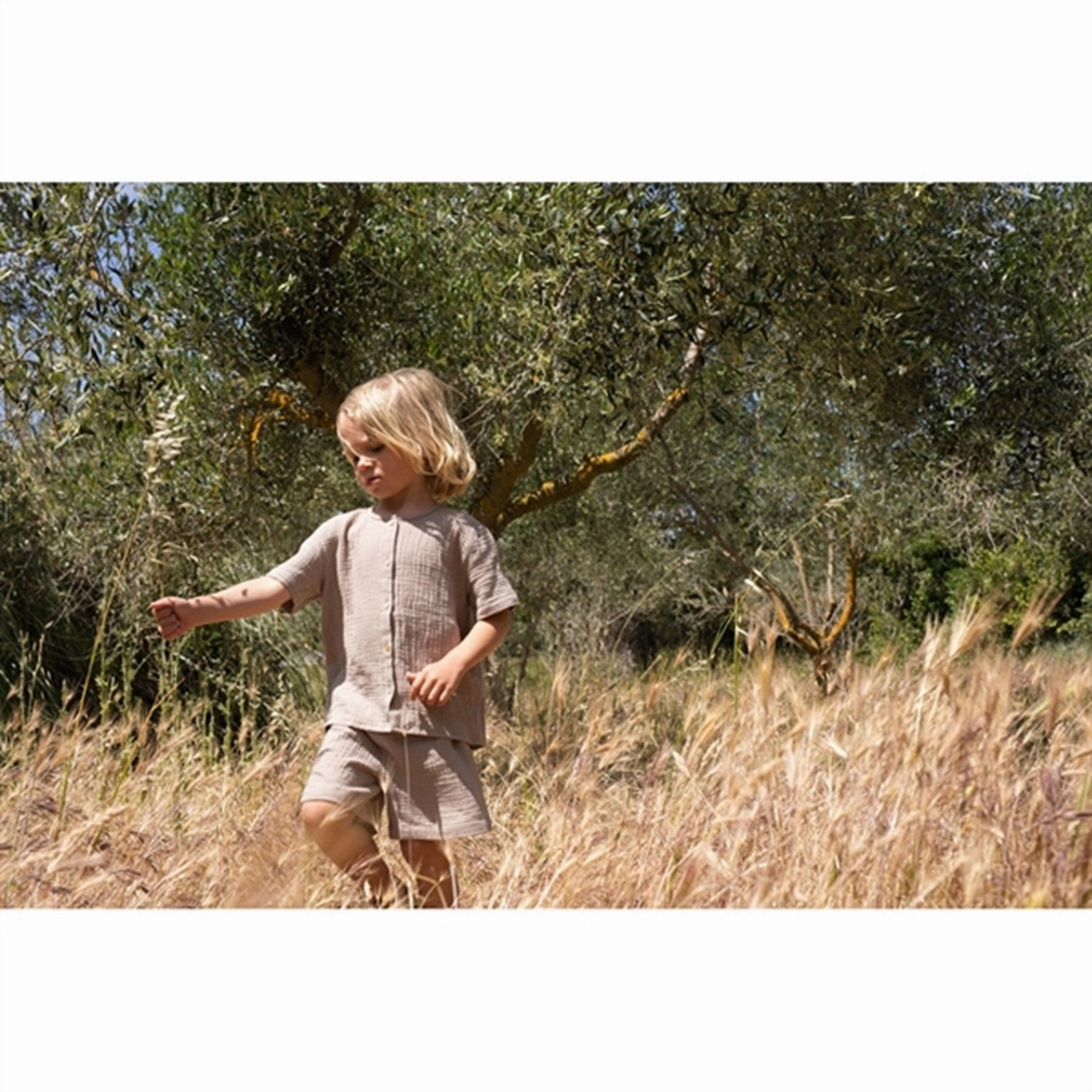 Water - repellent martial arts gear Konges Sl?jd Pure Cashmere Olive Shorts