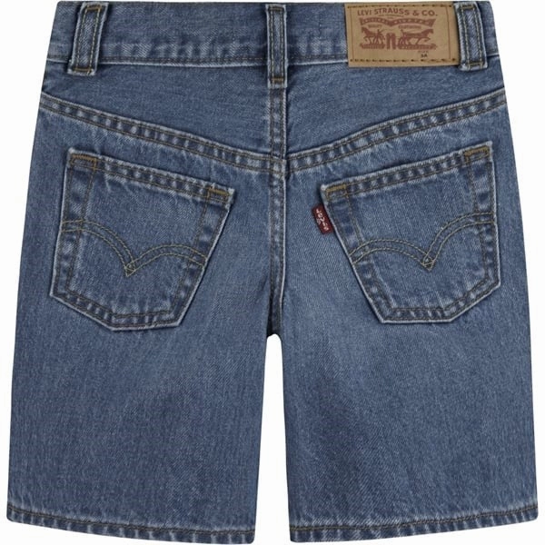 Non Restrictive Fit Snag Free Fabric Levi's Skate Shorts Basil Sky Without Destruction