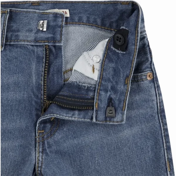 Levi's Skate Shorts Basil Sky Without Destruction Wide Leg Silhouette Sun Ready