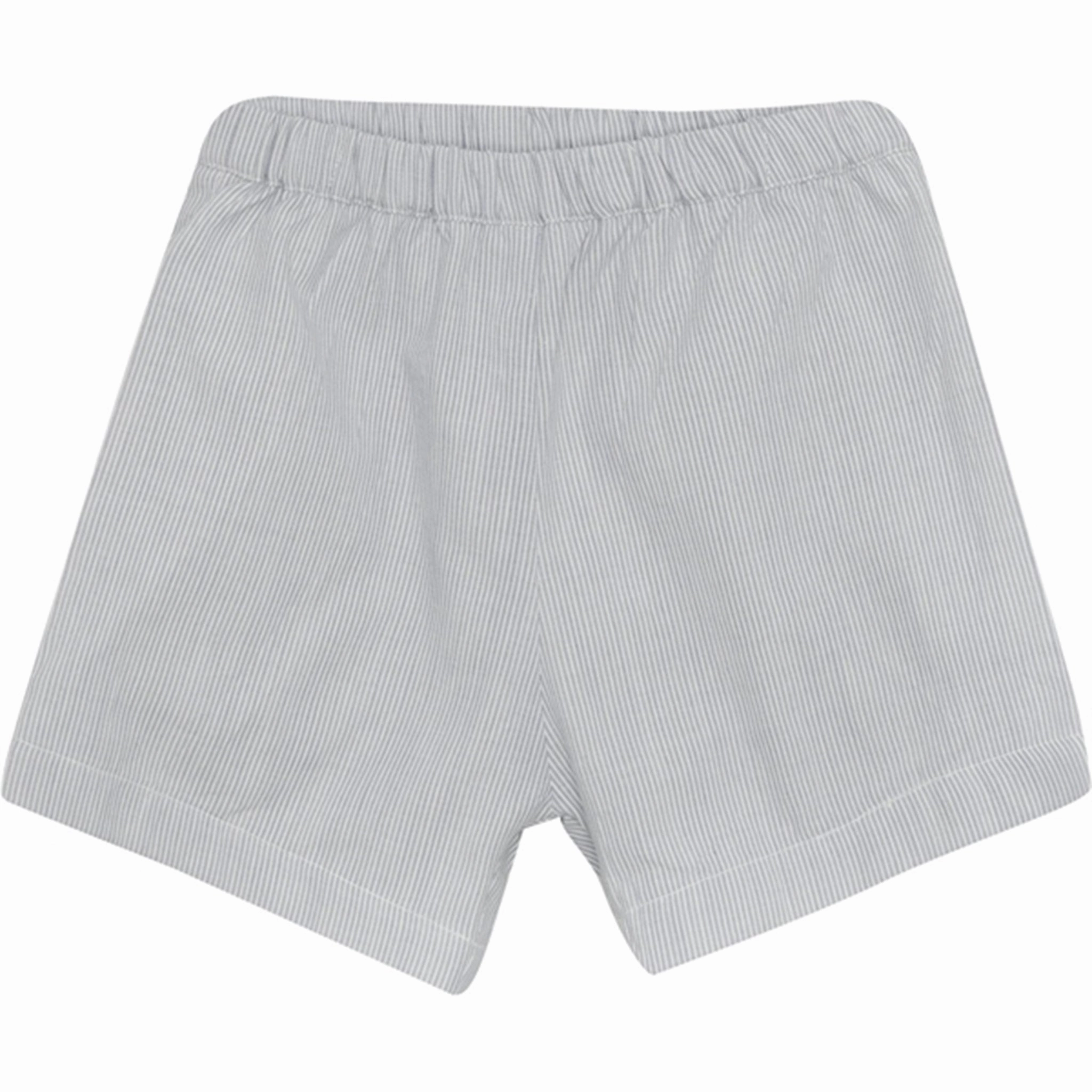 skateboarding gear Huttelihut Woven Stripe Citadel Shorts