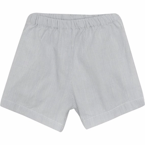 skateboarding gear Huttelihut Woven Stripe Citadel Shorts