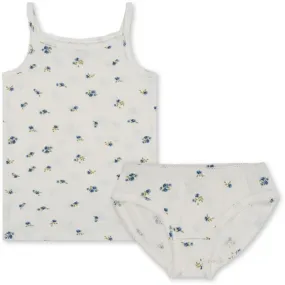 iron free theory Konges Sl?jd Bonderose Blue Minnie Underwear