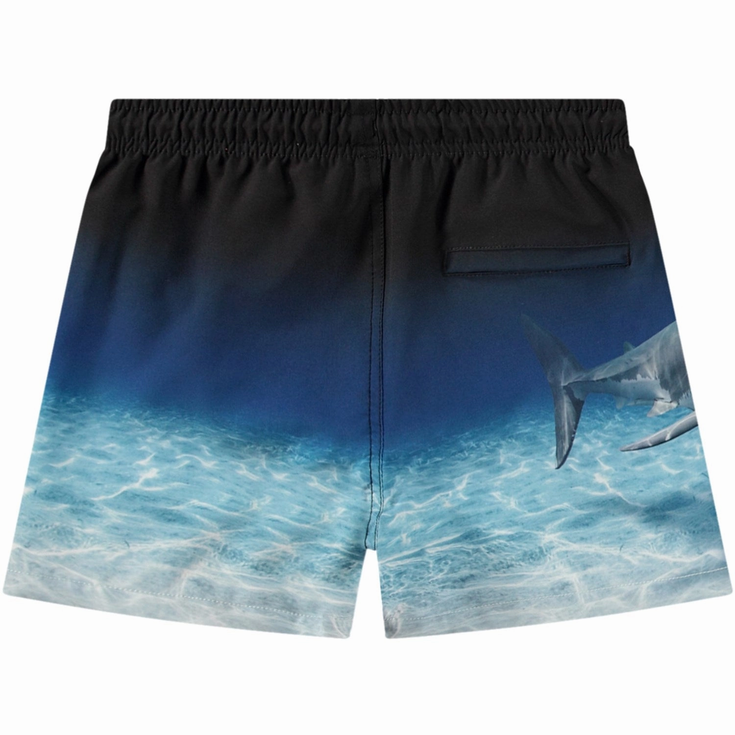 Molo Faded Shark Niko Boardies Minimal Seam Profile