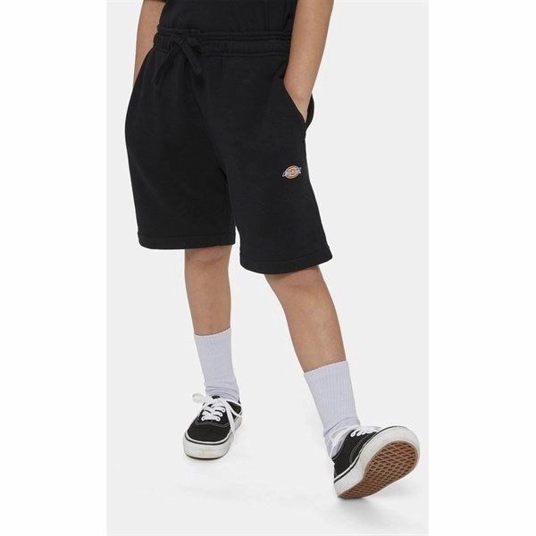 quick-drying Sporty Vibes Dickies Mapleton Sweatshorts Knit Black