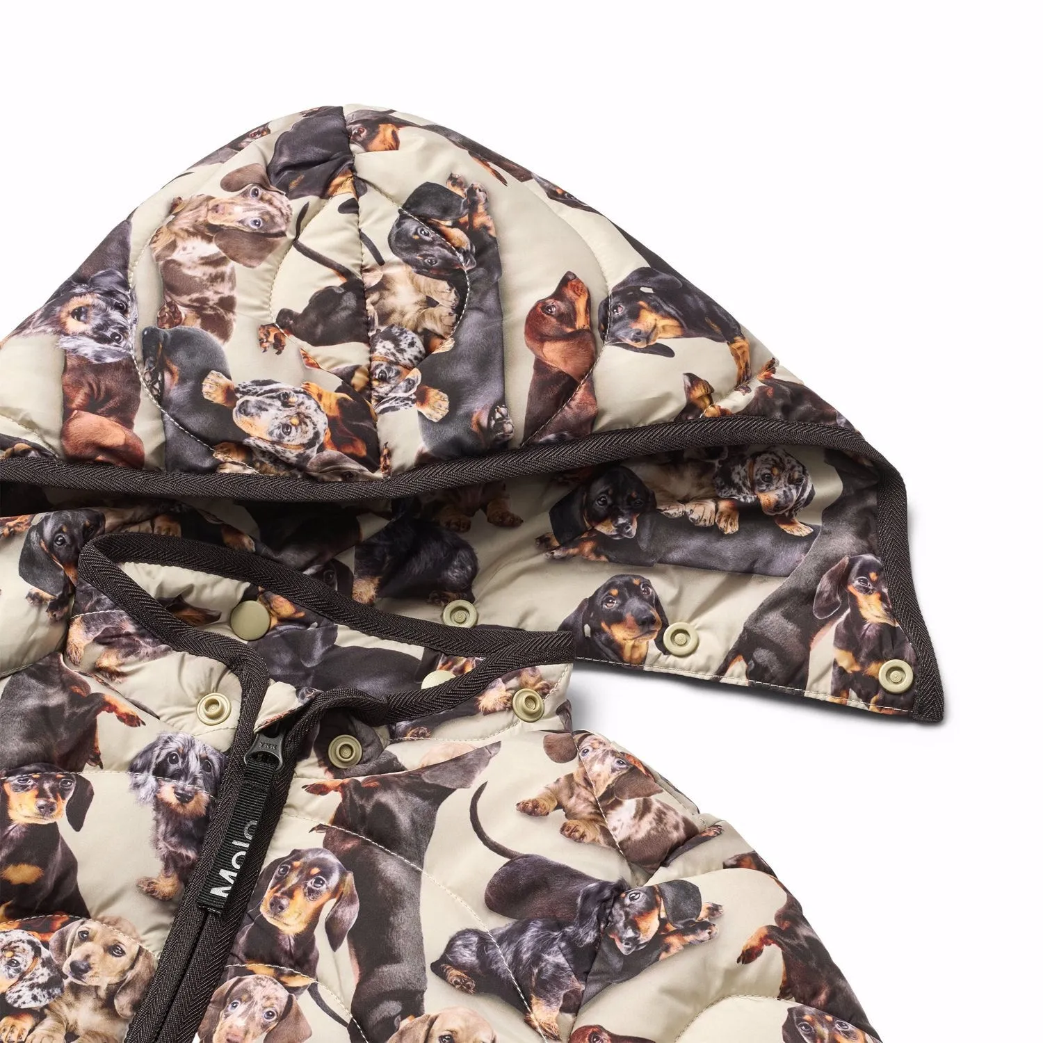 Molo Dashshund Soft Harmony Jacket breathable-mesh Elastic-Cuff