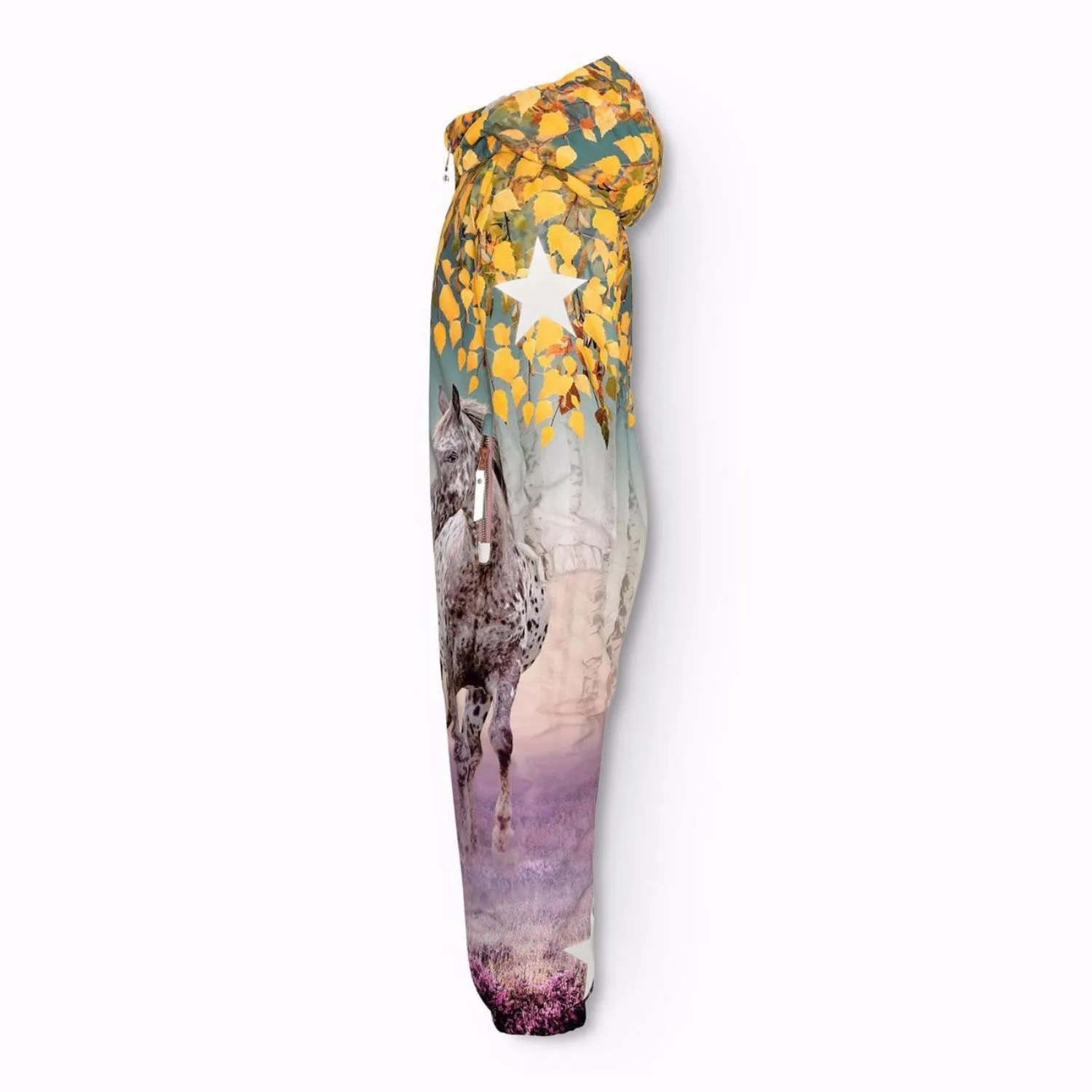 Colorful office attire Molo Dreamy Forest Polar Snowsuit