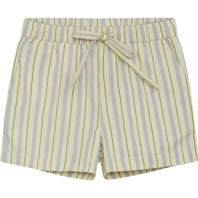 Adjustable Waistband Swimwear Fl?ss Bobby Shorts Blue/Green Stripe