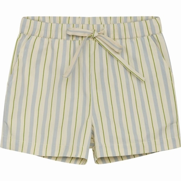Adjustable Waistband Swimwear Fl?ss Bobby Shorts Blue/Green Stripe