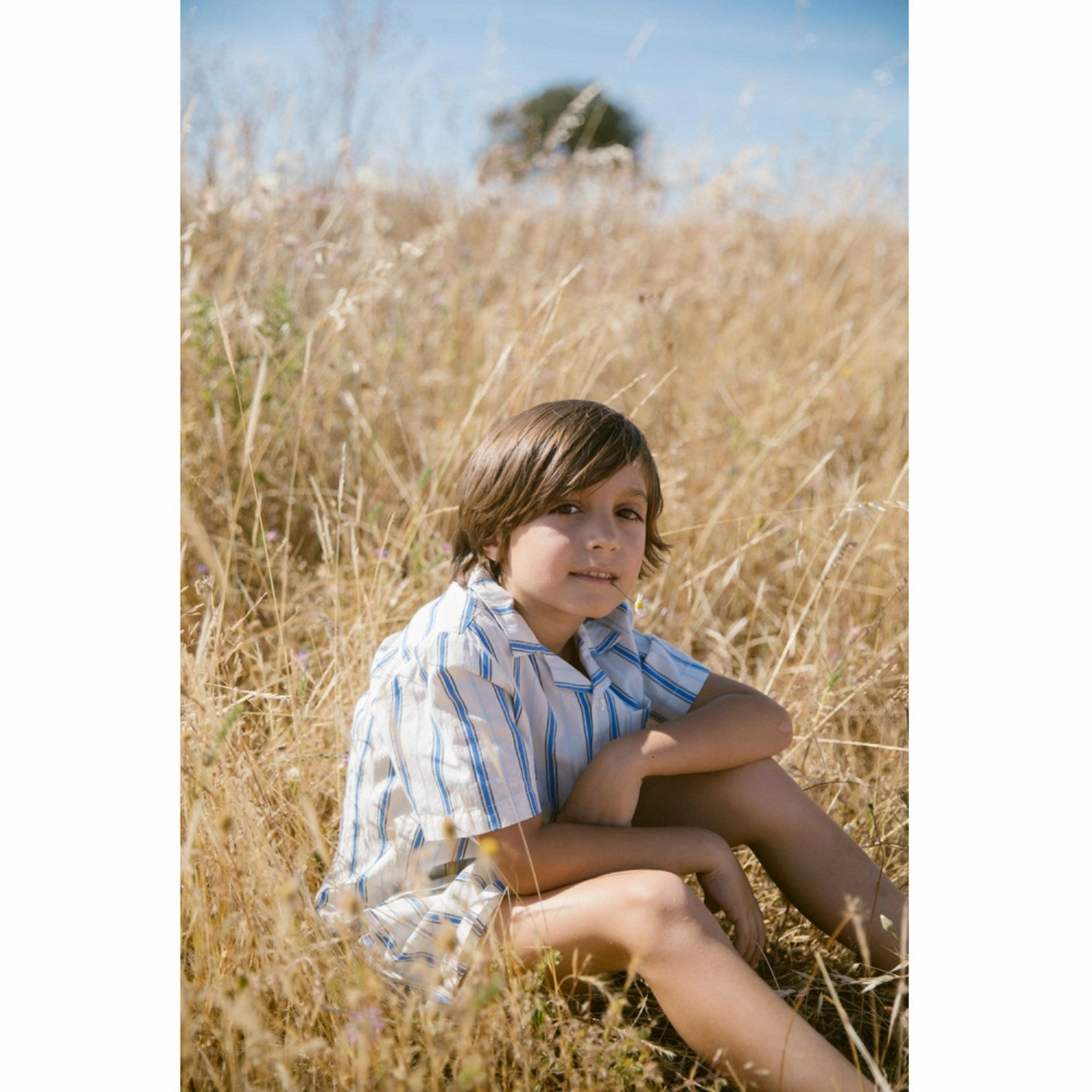 cool tones hat MarMar Cotton Stripes Chambray Stripe Pina Shorts