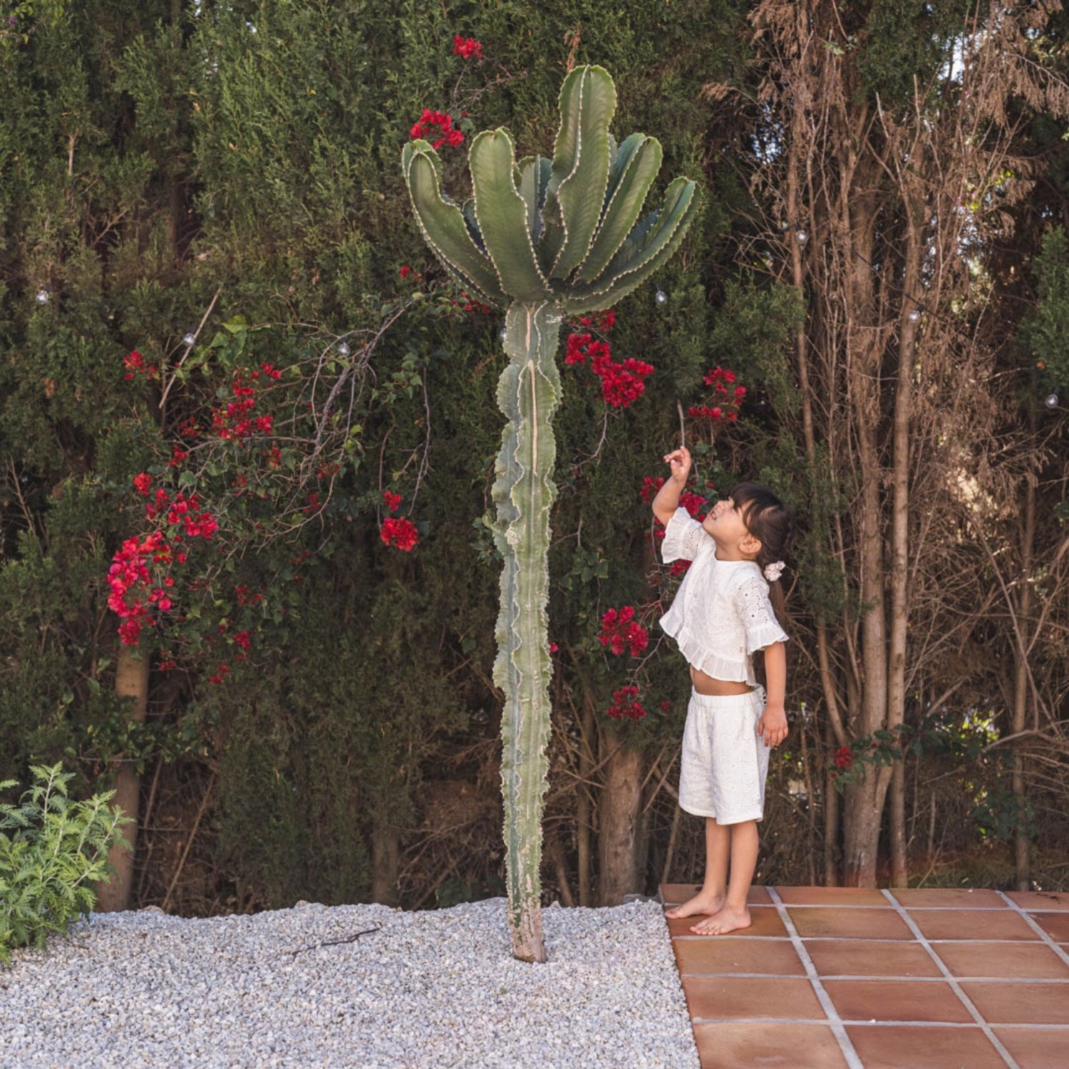 Daytime Style That's Mine Brilliant White Iris Shorts