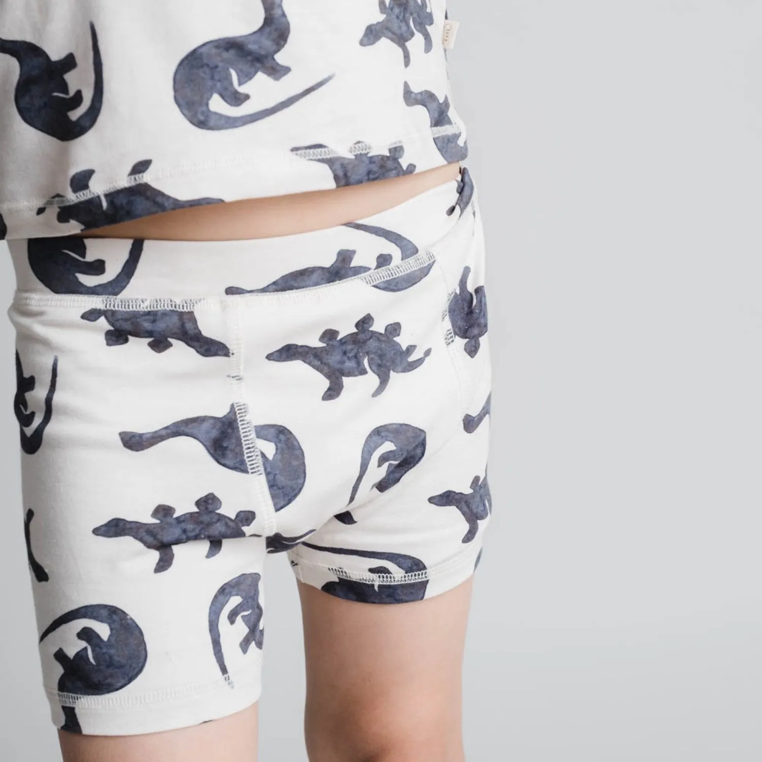 Functional Essential That's Mine Mono Dino Ebbe Boxershorts 2-Pack