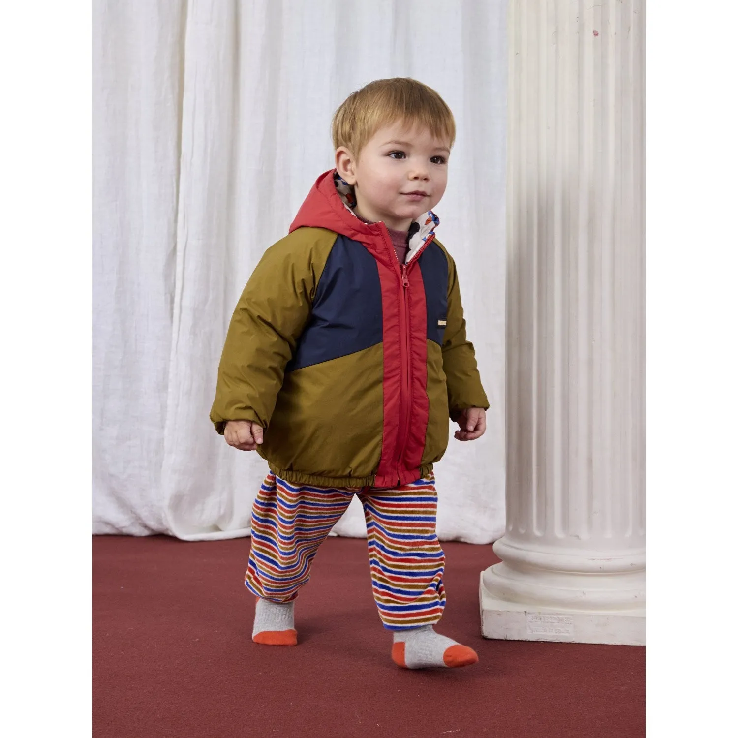Elastic-Cuff Bobo Choses Multicolor Doggy Mate All Over Reversible Jacket
