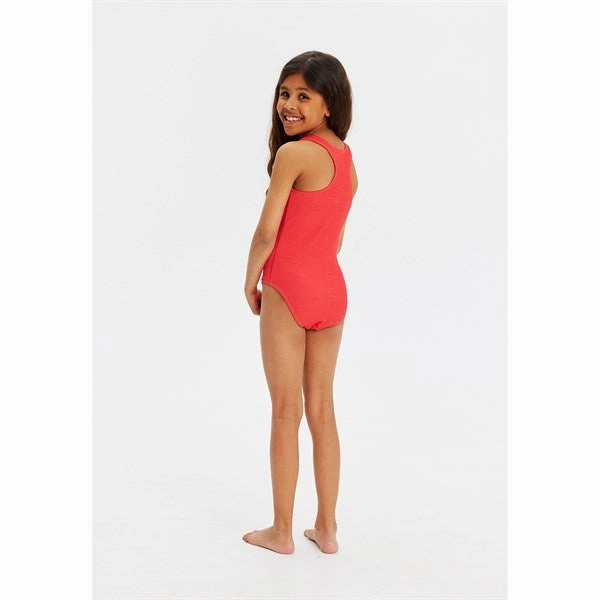 Non Restrictive Mobility Fade Resistant The New Geranium Jillian Swimsuit
