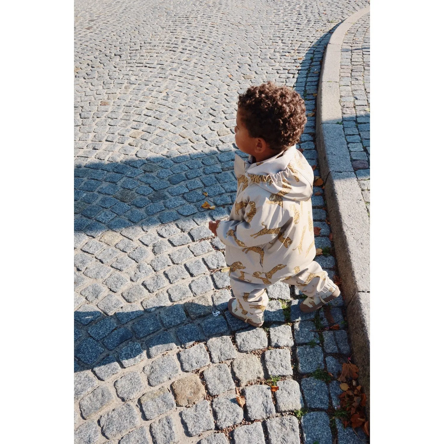 Hooded Design Konges Sl?jd Tiger Rainy Palme Set