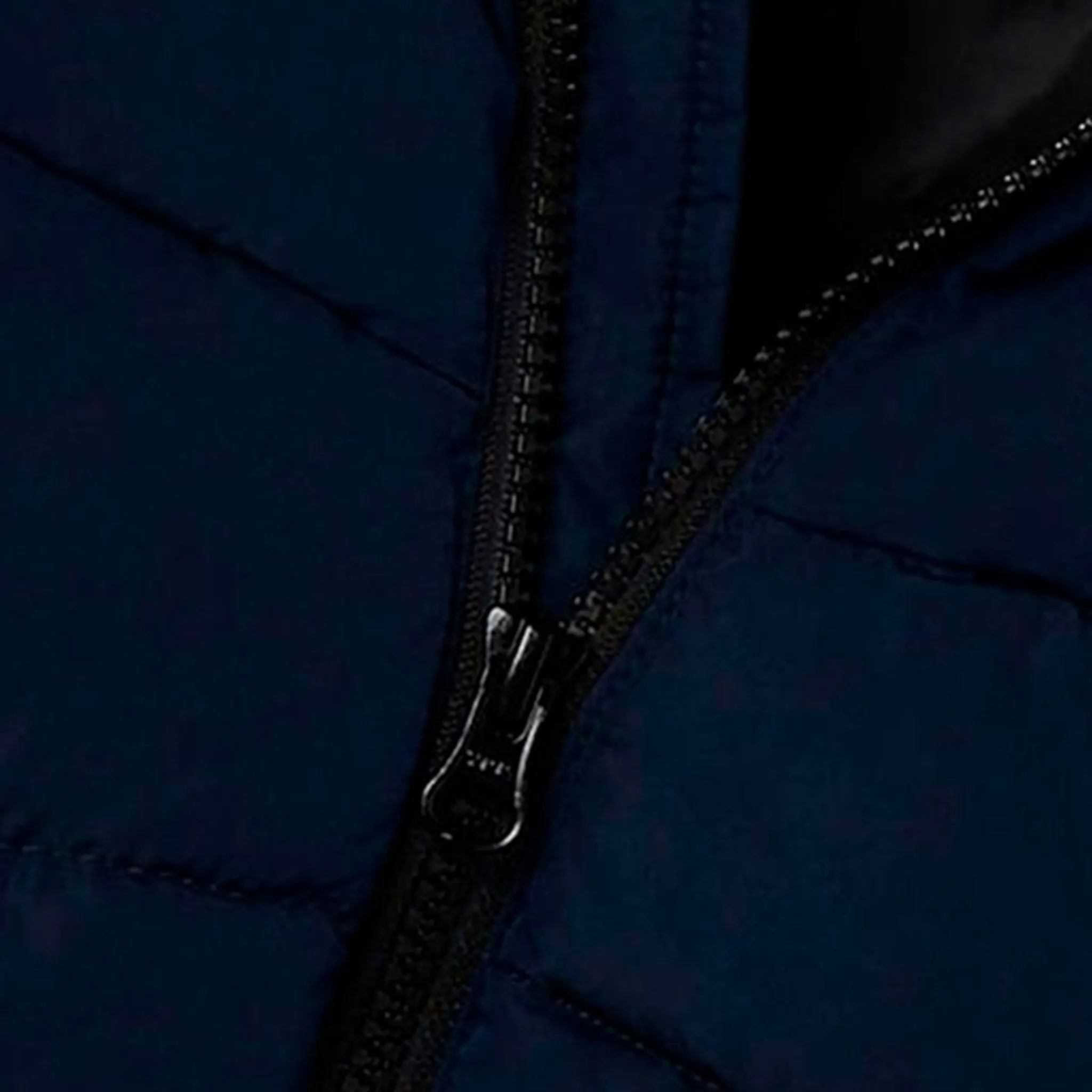 Soft cotton button-down Name it Dark Sapphire Music Puffer Jacket