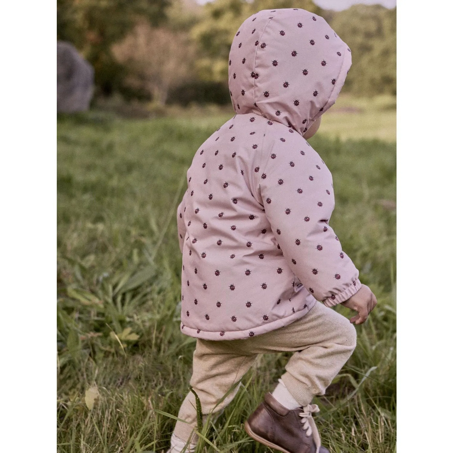 Lil'Atelier Misty Rose Ladybug Nbflasnow05 Jkt Aop Fo Lil cultural festival Bicycle